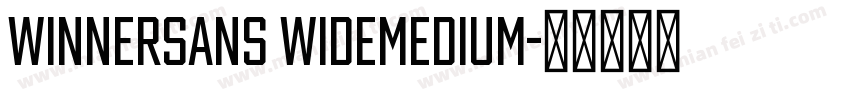 WinnerSans WideMedium字体转换